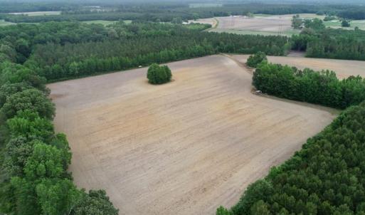Photo of SOLD!  80 Acres of Farm and Timber Land for Sale in Pitt County NC!