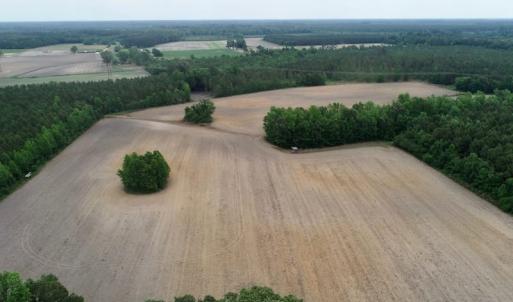 Photo of SOLD!  80 Acres of Farm and Timber Land for Sale in Pitt County NC!