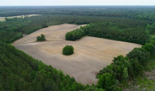 Photo of SOLD!  80 Acres of Farm and Timber Land for Sale in Pitt County NC!