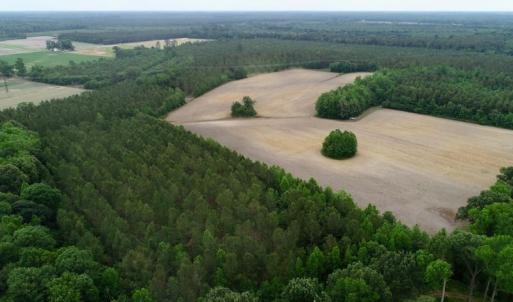 Photo of SOLD!  80 Acres of Farm and Timber Land for Sale in Pitt County NC!