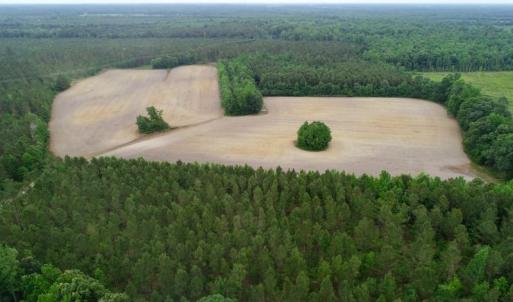 Photo of SOLD!  80 Acres of Farm and Timber Land for Sale in Pitt County NC!