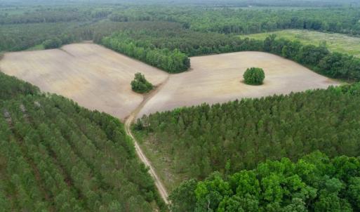 Photo of SOLD!  80 Acres of Farm and Timber Land for Sale in Pitt County NC!