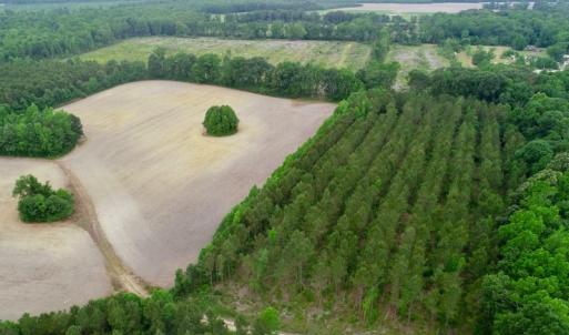 Photo of SOLD!  80 Acres of Farm and Timber Land for Sale in Pitt County NC!
