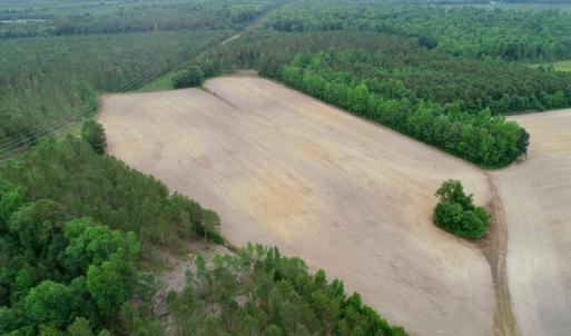 Photo of SOLD!  80 Acres of Farm and Timber Land for Sale in Pitt County NC!