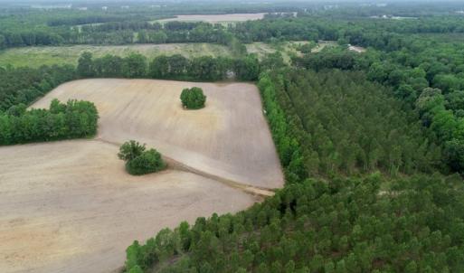 Photo of SOLD!  80 Acres of Farm and Timber Land for Sale in Pitt County NC!