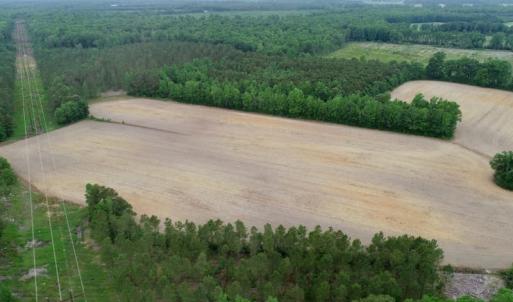 Photo of SOLD!  80 Acres of Farm and Timber Land for Sale in Pitt County NC!