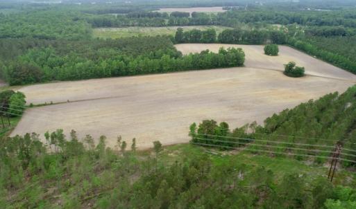 Photo of SOLD!  80 Acres of Farm and Timber Land for Sale in Pitt County NC!