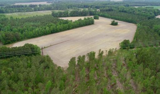 Photo of SOLD!  80 Acres of Farm and Timber Land for Sale in Pitt County NC!