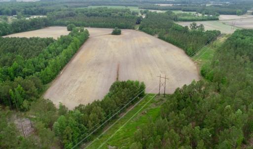 Photo of SOLD!  80 Acres of Farm and Timber Land for Sale in Pitt County NC!