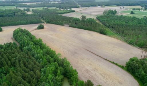 Photo of SOLD!  80 Acres of Farm and Timber Land for Sale in Pitt County NC!