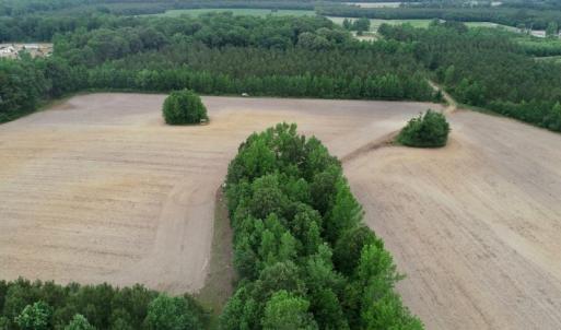 Photo of SOLD!  80 Acres of Farm and Timber Land for Sale in Pitt County NC!