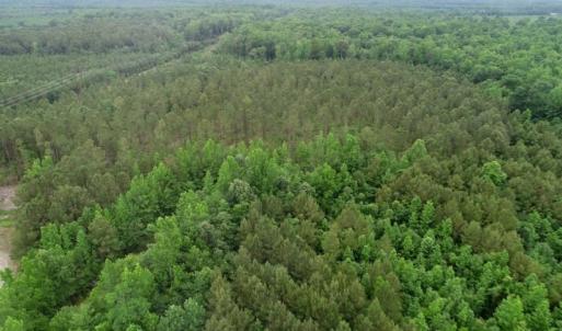 Photo of SOLD!  80 Acres of Farm and Timber Land for Sale in Pitt County NC!