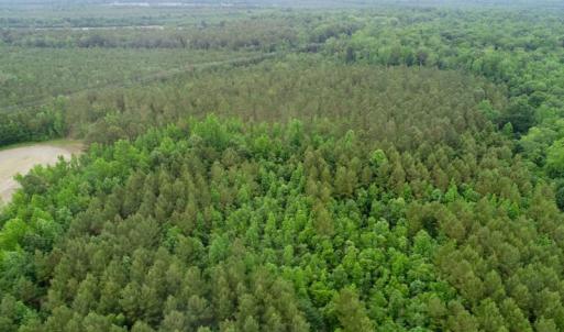 Photo of SOLD!  80 Acres of Farm and Timber Land for Sale in Pitt County NC!