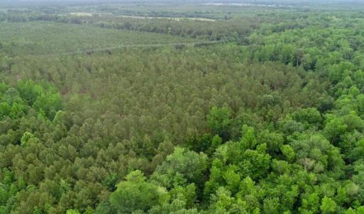 Photo of SOLD!  80 Acres of Farm and Timber Land for Sale in Pitt County NC!