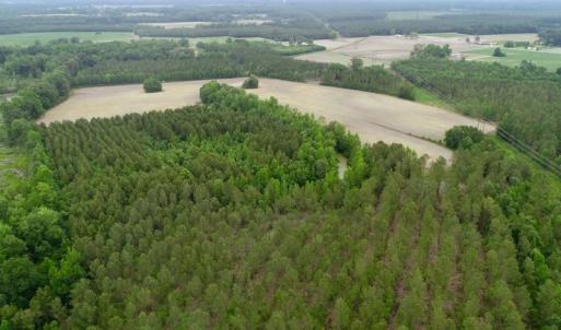 Photo of SOLD!  80 Acres of Farm and Timber Land for Sale in Pitt County NC!