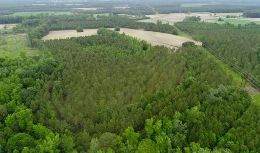 Photo of SOLD!  80 Acres of Farm and Timber Land for Sale in Pitt County NC!
