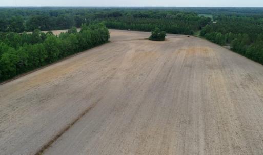 Photo of SOLD!  80 Acres of Farm and Timber Land for Sale in Pitt County NC!