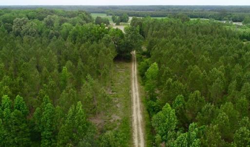 Photo of SOLD!  80 Acres of Farm and Timber Land for Sale in Pitt County NC!
