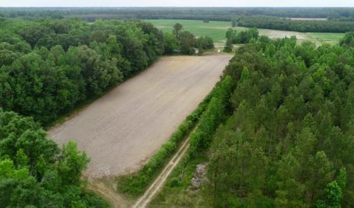 Photo of SOLD!  80 Acres of Farm and Timber Land for Sale in Pitt County NC!