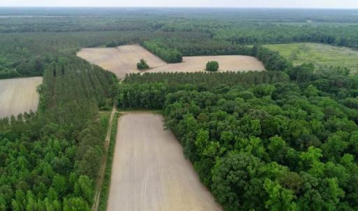 Photo of SOLD!  80 Acres of Farm and Timber Land for Sale in Pitt County NC!
