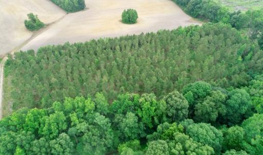 Photo of SOLD!  80 Acres of Farm and Timber Land for Sale in Pitt County NC!