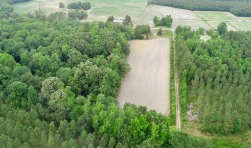 Photo of SOLD!  80 Acres of Farm and Timber Land for Sale in Pitt County NC!