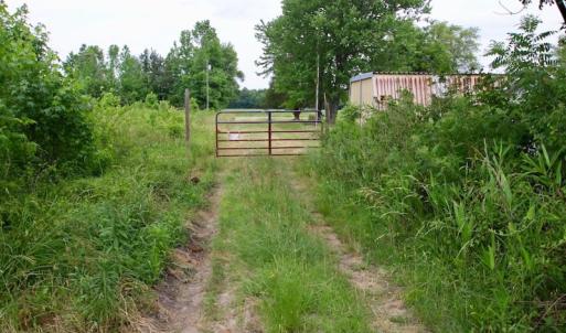 Photo of SOLD!  80 Acres of Farm and Timber Land for Sale in Pitt County NC!