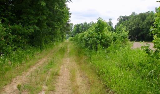 Photo of SOLD!  80 Acres of Farm and Timber Land for Sale in Pitt County NC!
