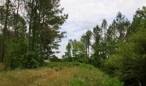 Photo of SOLD!  80 Acres of Farm and Timber Land for Sale in Pitt County NC!