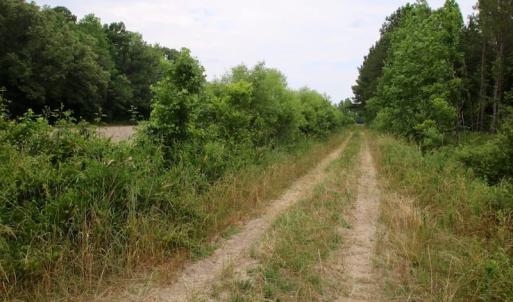 Photo of SOLD!  80 Acres of Farm and Timber Land for Sale in Pitt County NC!
