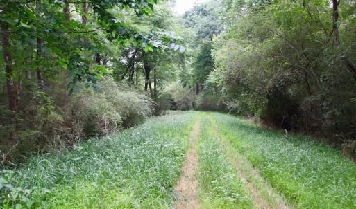 Photo of SOLD!  80 Acres of Farm and Timber Land for Sale in Pitt County NC!