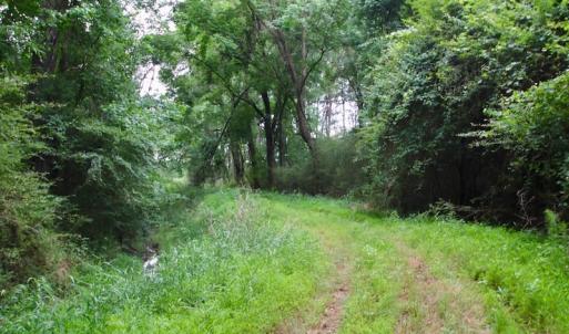 Photo of SOLD!  80 Acres of Farm and Timber Land for Sale in Pitt County NC!