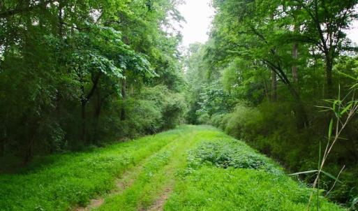 Photo of SOLD!  80 Acres of Farm and Timber Land for Sale in Pitt County NC!