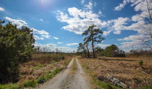 Photo of REDUCED!  15 Acres of Waterfront Land For Sale in Tyrrell County NC!