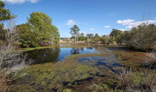 Photo of REDUCED!  15 Acres of Waterfront Land For Sale in Tyrrell County NC!