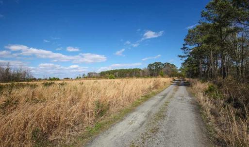 Photo of REDUCED!  15 Acres of Waterfront Land For Sale in Tyrrell County NC!