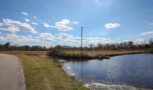 Photo of REDUCED!  15 Acres of Waterfront Land For Sale in Tyrrell County NC!