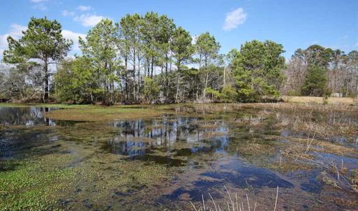 Photo of REDUCED!  0.58 Acre Water View Lot For Sale in Tyrrell County NC!