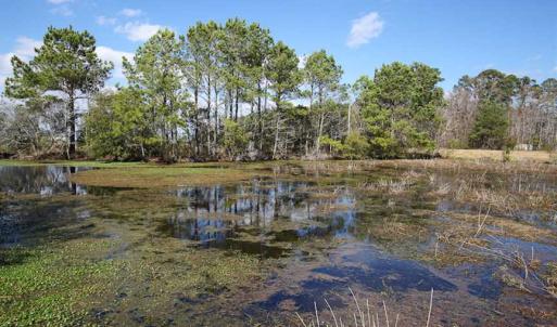 Photo of REDUCED!  0.61 Acre Water View Lot For Sale in Tyrrell County NC!
