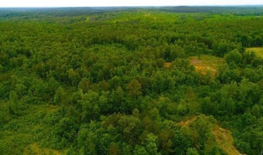 Photo of SOLD! 55 Acres of Residential and Recreational Property For Sale in Chatham County NC!
