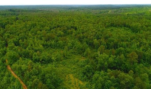 Photo of SOLD! 55 Acres of Residential and Recreational Property For Sale in Chatham County NC!