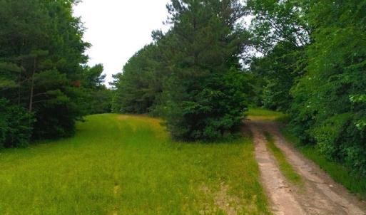 Photo of SOLD! 55 Acres of Residential and Recreational Property For Sale in Chatham County NC!