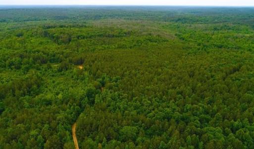 Photo of SOLD! 55 Acres of Residential and Recreational Property For Sale in Chatham County NC!