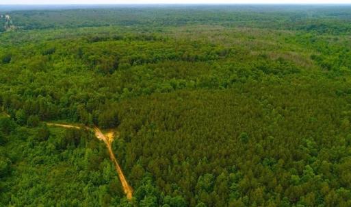 Photo of SOLD! 55 Acres of Residential and Recreational Property For Sale in Chatham County NC!