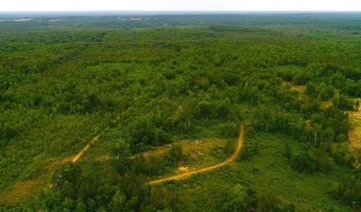 Photo of SOLD! 55 Acres of Residential and Recreational Property For Sale in Chatham County NC!