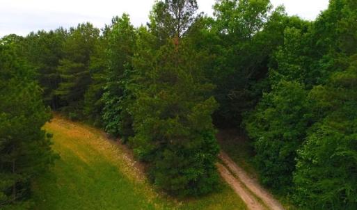 Photo of SOLD! 55 Acres of Residential and Recreational Property For Sale in Chatham County NC!
