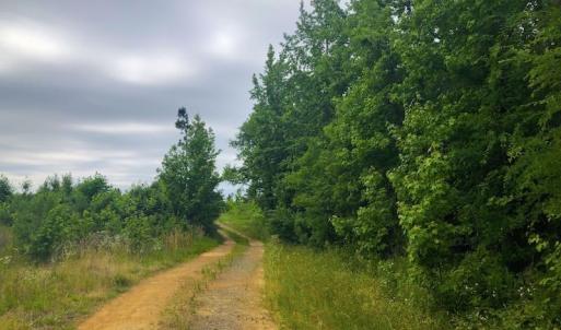 Photo of SOLD! 55 Acres of Residential and Recreational Property For Sale in Chatham County NC!