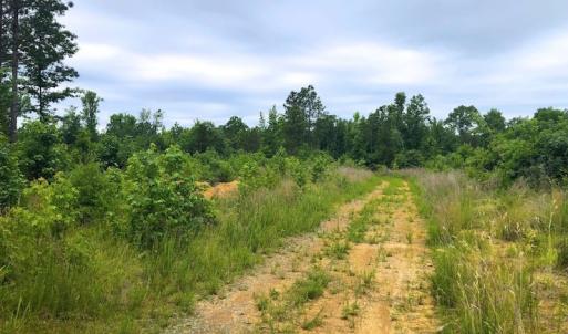 Photo of SOLD! 55 Acres of Residential and Recreational Property For Sale in Chatham County NC!