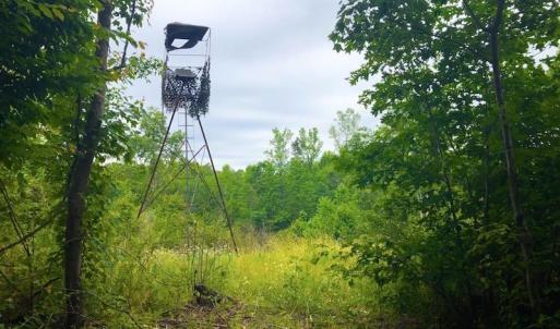 Photo of SOLD! 55 Acres of Residential and Recreational Property For Sale in Chatham County NC!