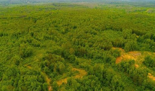 Photo of SOLD! 55 Acres of Residential and Recreational Property For Sale in Chatham County NC!